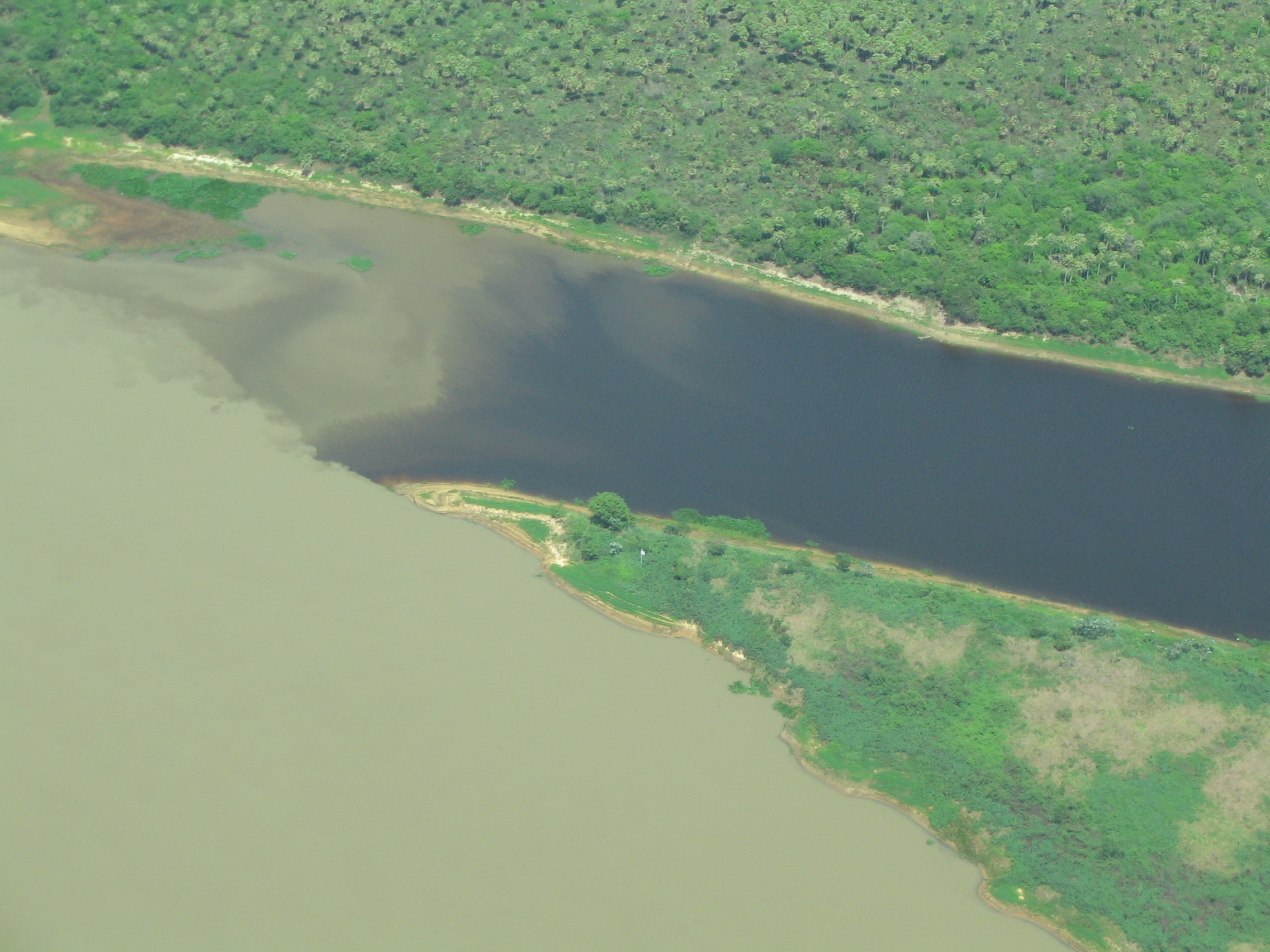 Uno de los mayores humedales del Paraguay (y del mundo) es el Pantanal localizado en el Alto Paraguay y particularmente en Bahía Negra.