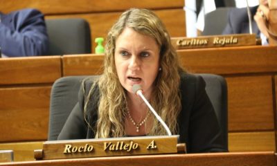 Diputada Rocío Vallejo. (Gentileza).