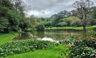 Laguna del Jardín Botánico. Foto: Pinterest