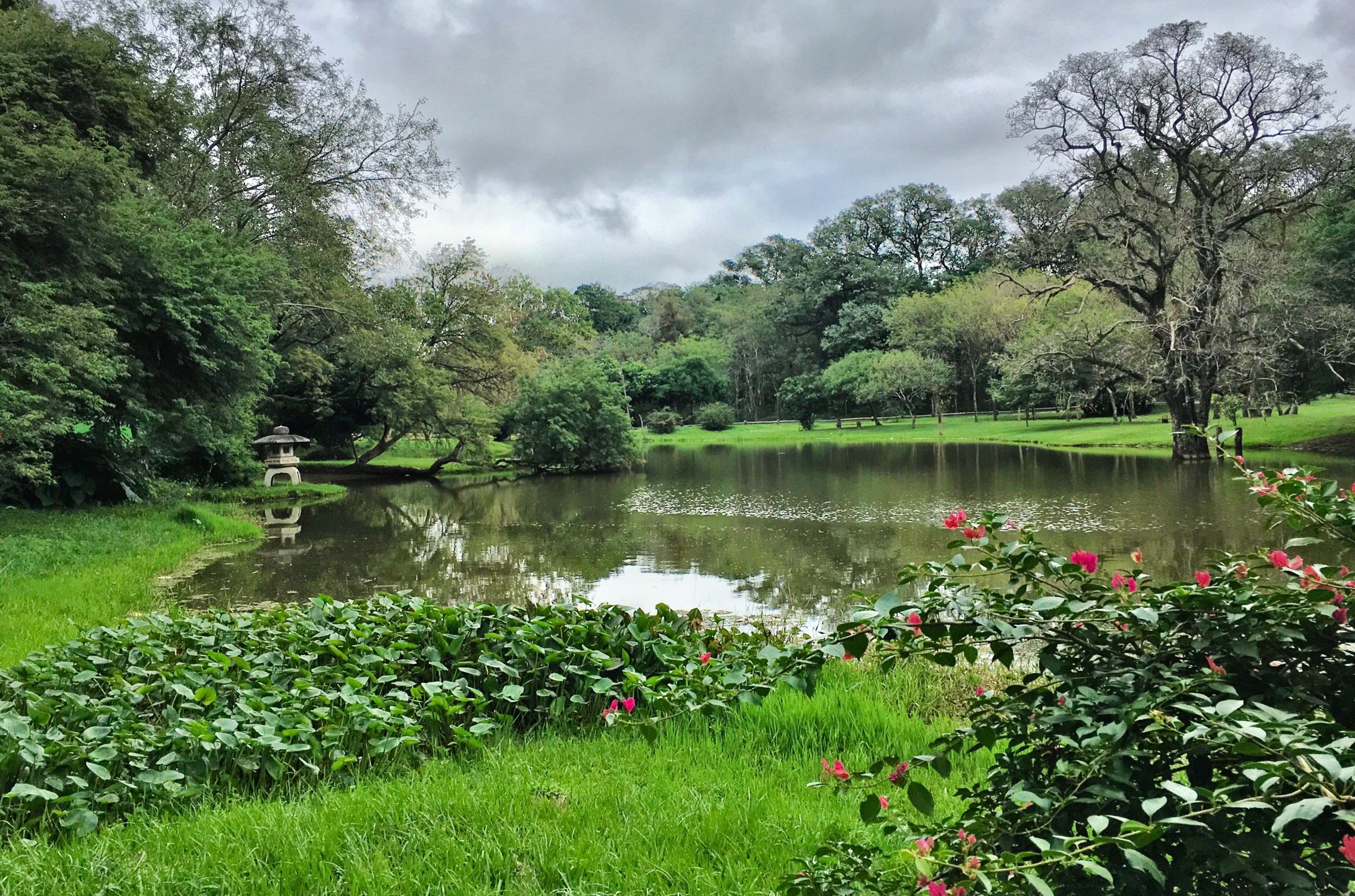Laguna del Jardín Botánico. Foto: Pinterest