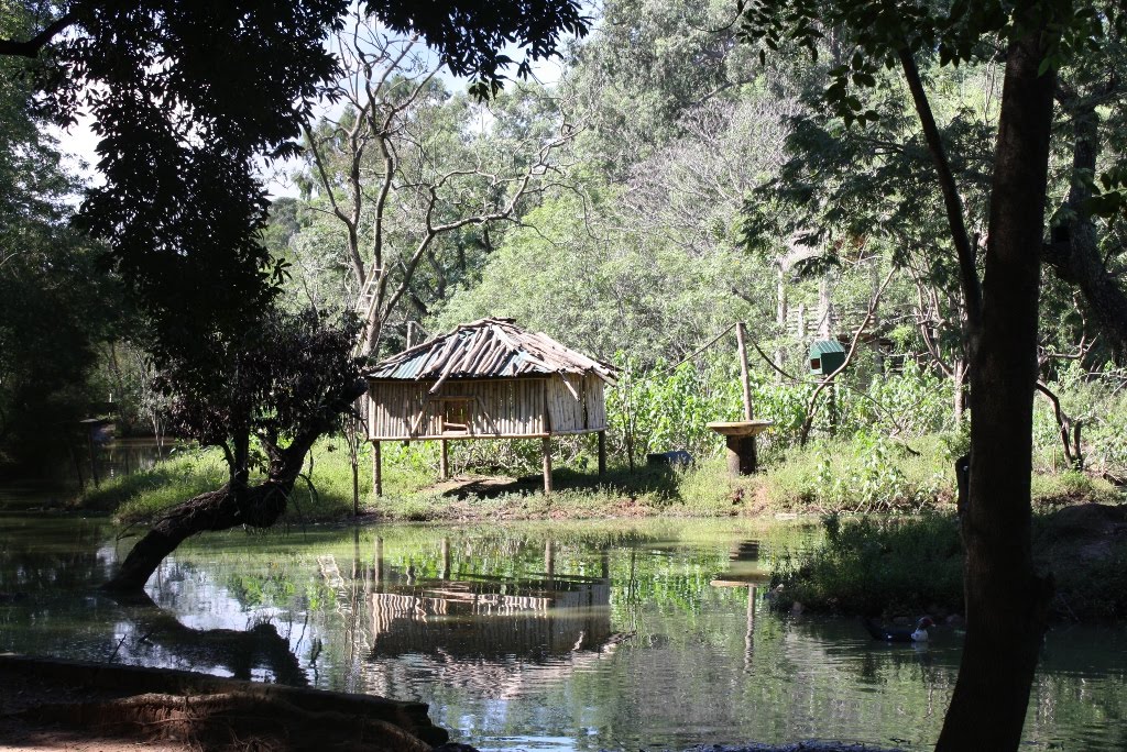 El Jardín Botánico alberga un remanente de bosque nativo, humedales y diversos tipos de suelo. Foto: Flickr