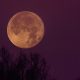 La Superluna del 27 de abril será la segunda Luna llena más cercana a la Tierra. Foto: National Geographic.l
