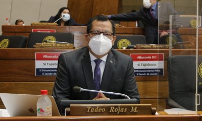 Diputado Tadeo Rojas. (Foto Diputados).