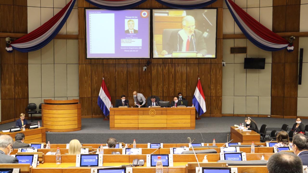 Sesión de la Cámara de Diputados. Foto: Gentileza.