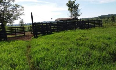 Estancia en Capiibary.