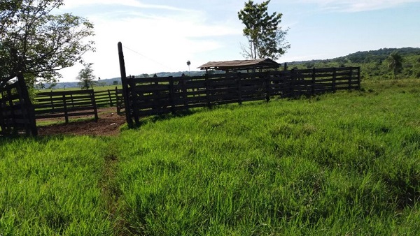 Estancia en Capiibary.