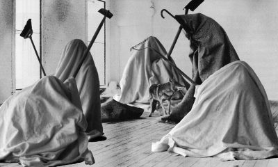 Joseph Beuys, "Me gusta América y a América le gusto yo", 1974