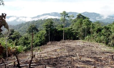 Jair Bolsonaro se comprometió recientemente a "eliminar la deforestación ilegal de Brasil en 2030". Foto: Télam.