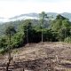 Jair Bolsonaro se comprometió recientemente a "eliminar la deforestación ilegal de Brasil en 2030". Foto: Télam.