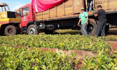 La exportaciones crecieron en lo que va del 2021, frente al 2020. Foto: Gentileza.