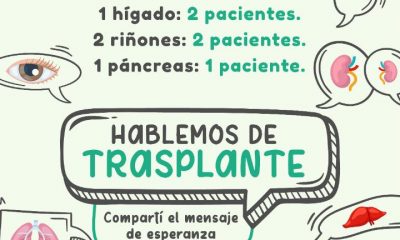 Gráfico transplante: gentileza