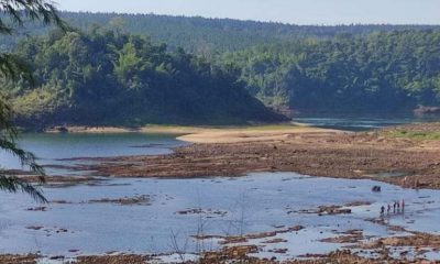 Bajante histórica del río Paraná. (Gentileza)