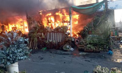 Momento del incendio del paseo. (Foto Gentileza).