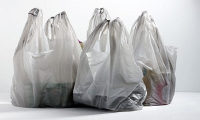 Desde mañana se utilizarán bolsas de polietileno de un solo uso en todos los comercios del país. Foto: IP.