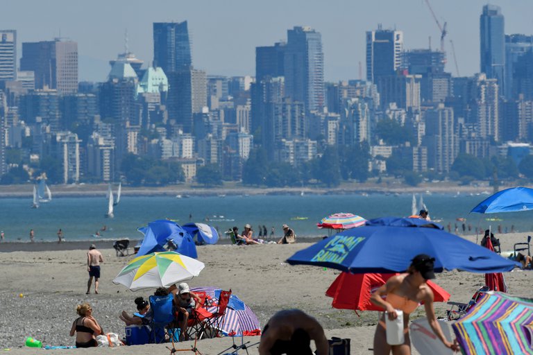 Ola de calor en Canada está causando estragos. Foto: Infobae.