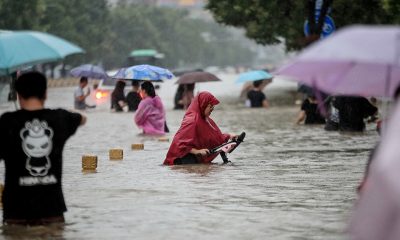 El nuevo informe de los expertos de la ONU llega en medio de una seguidilla de catástrofes naturales. Foto: Télam.