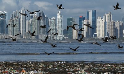 Cambio climático: alertan que las emisiones contaminantes mundiales alcanzarán un nuevo récord en 2023.