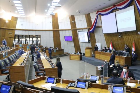 Cámara de Diputados en debate. (Foto Diputados)