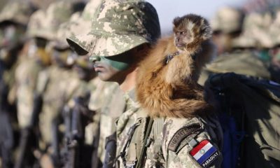 Ejército paraguayo (Foto Presidencia).