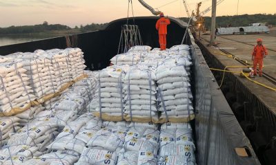 La exportación de arroz también viene creciendo aceleradamente. Foto: IP