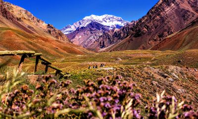 Mensoza, Argentina. Foto: triadvisor.com