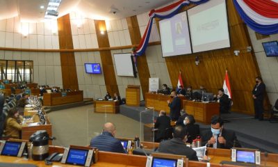 Sesión en la Cámara de Diputados. (Foto Diputados).