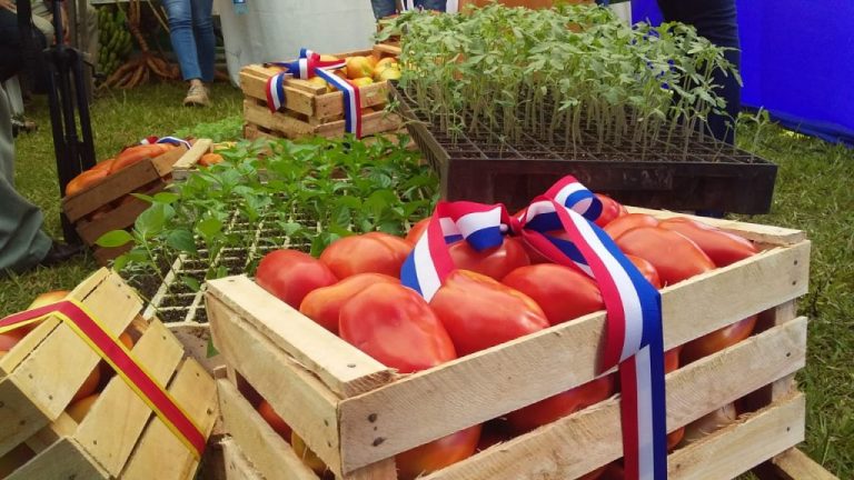 Productores pelearán por un control más estricto. IP. Archivo.