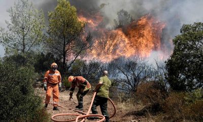 El incendio quemó hasta ahora 5.000 hectáreas de bosque y matorral. Foto: Agencias.