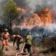 El incendio quemó hasta ahora 5.000 hectáreas de bosque y matorral. Foto: Agencias.