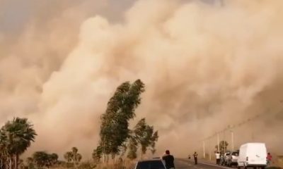 Incendio forestal en la zona de la ruta Luque-San Bernardino. (Gentileza)