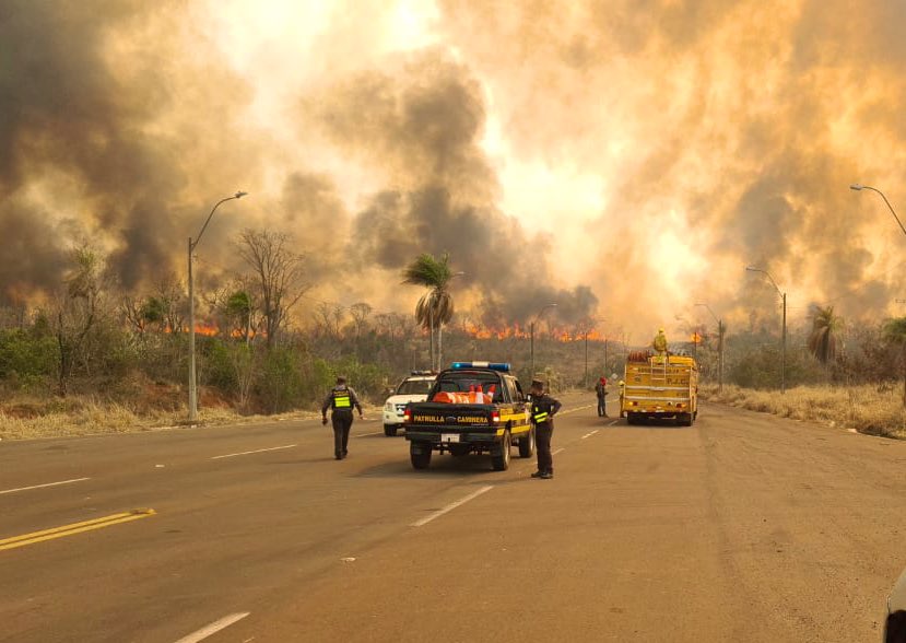 Archivo incendiuo forestal por el calentamiento