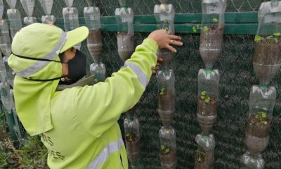 Muchas familias optan realizMuchas familias se mueven al ritmo de la economía circular. (Perú 21)