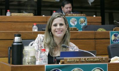 Diputada Kattya González (Foto Diputados).