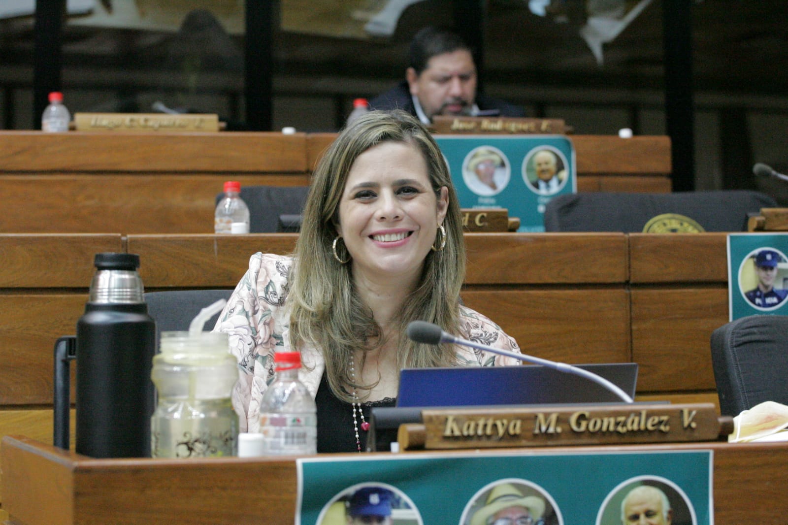 Diputada Kattya González (Foto Diputados).