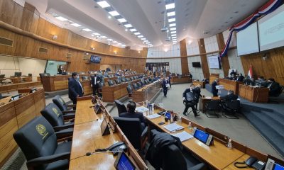 Cámara de Diputados. (Foto Diputados).