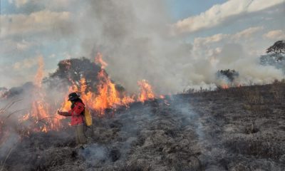 Focos de incendio en el Chaco. Gentileza