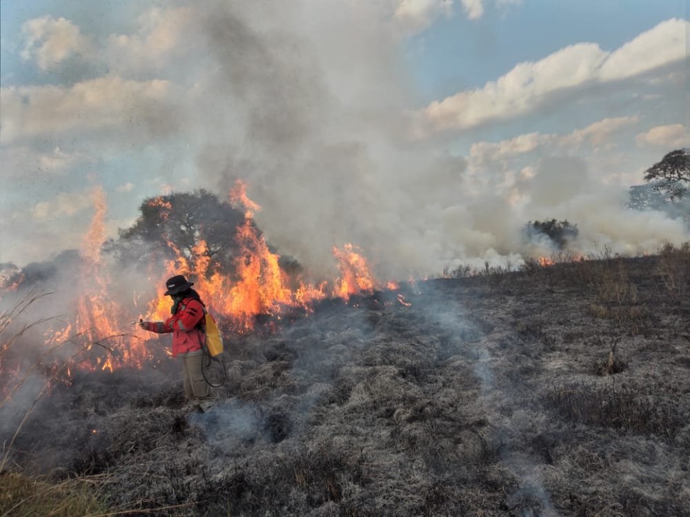 Focos de incendio en el Chaco. Gentileza