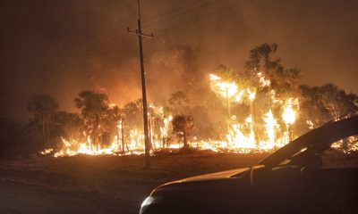 Incendios se generaron en todo el país. (Foto Gentileza).