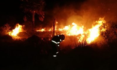 Incendios forestales, aún siguen activos en varios departamentos. Foto: Gentileza.