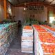 Productores frutihortícolas piden más acción contra el contrabando. (Foto Radio Ñanduti).. (Foto Radio Ñanduti).