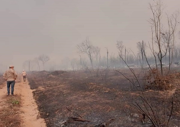 Incendios forestales. (Foto: Gentileza).