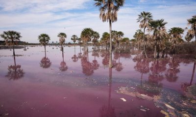 Es importante reglamentar la ley para garantizar una buena gestión del agua. Foto: Gentileza