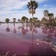 Es importante reglamentar la ley para garantizar una buena gestión del agua. Foto: Gentileza