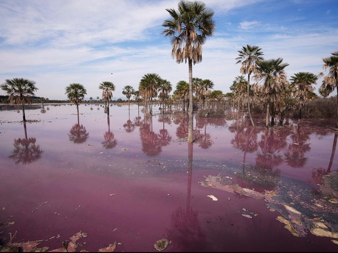 Es importante reglamentar la ley para garantizar una buena gestión del agua. Foto: Gentileza