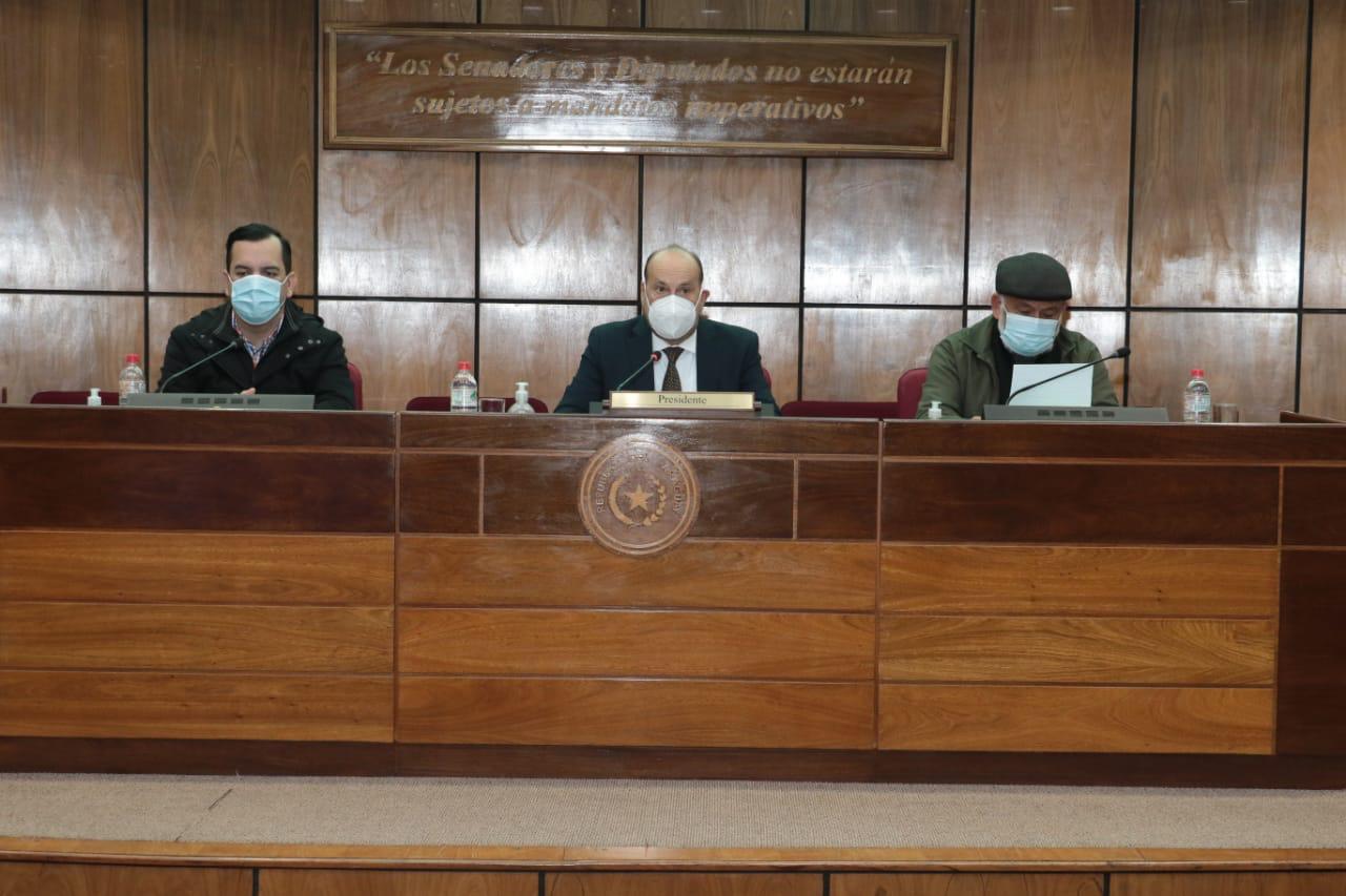 Reunión de miembros del Senado con autoridades. (Foto Senado).