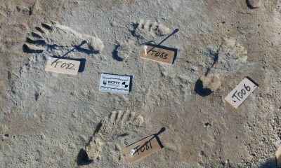 Las huellas pertenecen a niños y adolescentes que vivieron hace al menos 21.000 años. Foto: Universidad de Bournemouth.