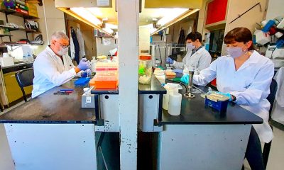 Investigadores del CONICET en el Laboratorio de Terapia Molecular y Celular del Instituto Leloir que desarrolla la vacuna CoroVaxG.3. Foto: Télam.