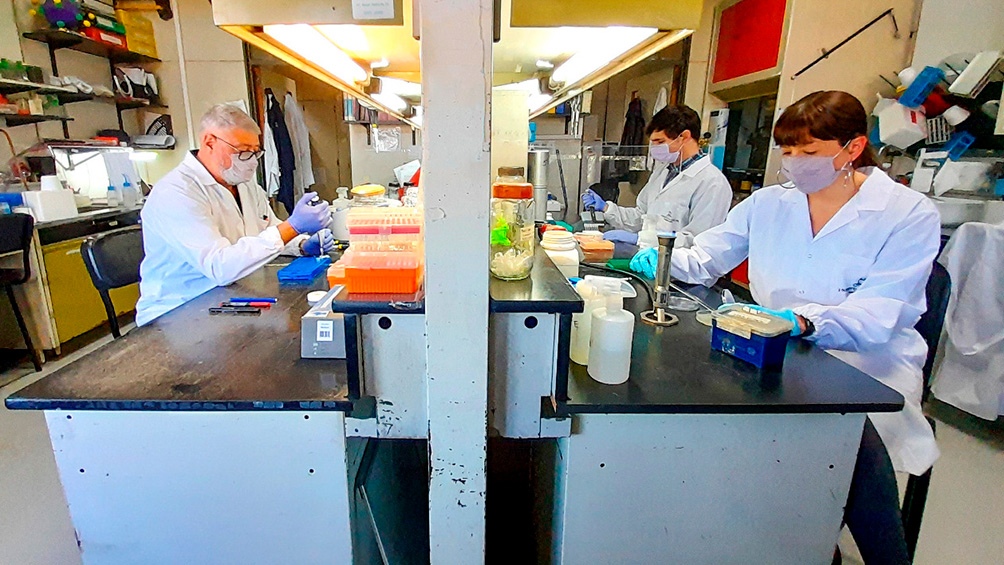 Investigadores del CONICET en el Laboratorio de Terapia Molecular y Celular del Instituto Leloir que desarrolla la vacuna CoroVaxG.3. Foto: Télam.
