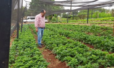 Organizaciones agroecológica. Foto: Gentileza.s