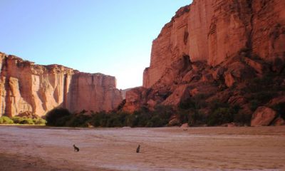 Parque Nacional Talampaya. Foto: Gentileza.